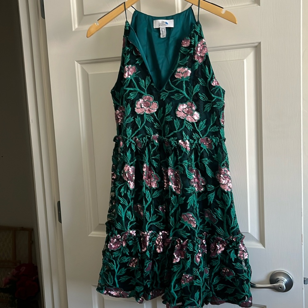 Like New Belle Badgley Mischka Sequin Rose Pink Garden Lace Embroidered Dress 6